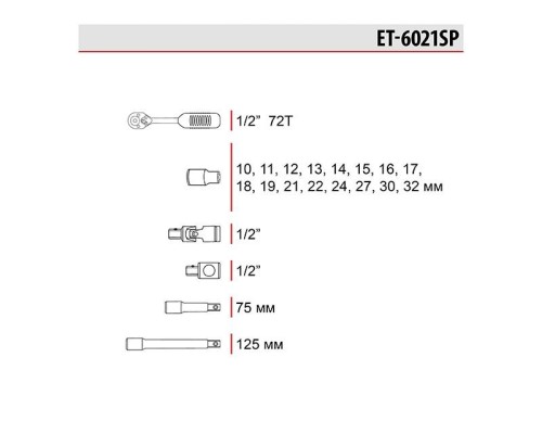 Професійний набір включає в себе 21 одиницю. Інструменти розміщені в кейсі з ударостійкого пластику. В даному наборі 16 торцевих головок діаметром від 10 до 32 мм. Крім того, є комірець, ключ з тріскачкою з квадратом 1/2
