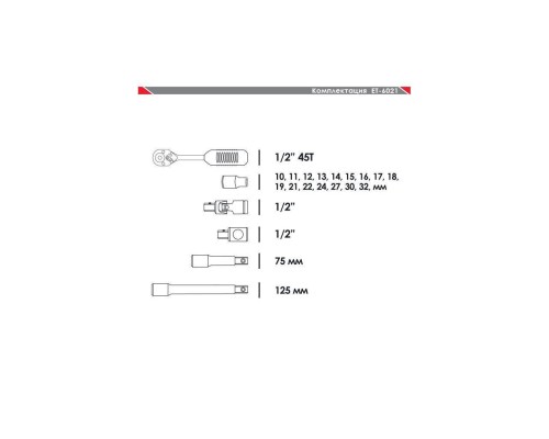Професійний набір включає в себе 21 одиницю. Інструменти розміщені в кейсі з ударостійкого пластику. В даному наборі 16 торцевих головок діаметром від 10 до 32 мм. Крім того, є комірець, ключ з тріскачкою з квадратом 1/2